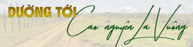 Phát hiện cao nguyên cảnh như nước ngoài, khí hậu có đủ 4 mùa trong ngày, cách thành phố hơn 100km- Ảnh 8. Phát hiện cao nguyên cảnh như nước ngoài, khí hậu có đủ 4 mùa trong ngày, cách thành phố hơn 100km- Ảnh 8.
