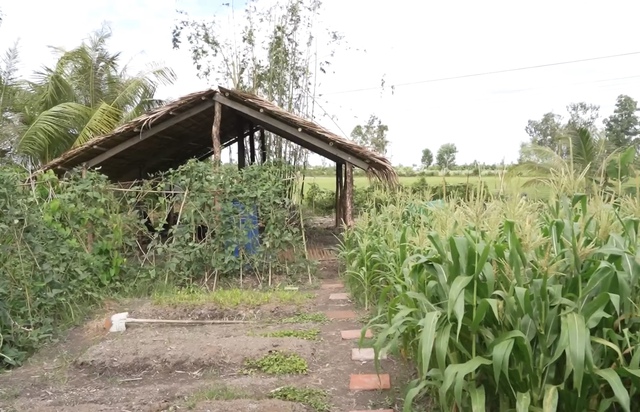 Cặp song sinh "kỳ lạ" ở Sóc Trăng sau 2 năm nổi tiếng, gia đình từ ở trọ đã xây được nhà riêng- Ảnh 8. Cặp song sinh "kỳ lạ" ở Sóc Trăng sau 2 năm nổi tiếng, gia đình từ ở trọ đã xây được nhà riêng- Ảnh 8.