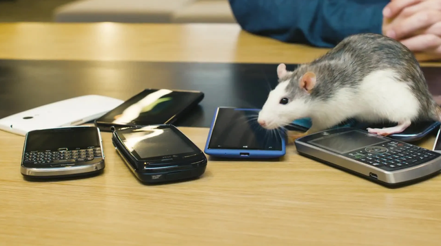 Wifi có gây ung thư không? Cảnh báo 5 tác động âm thầm bào mòn sức khỏe từng ngày - Ảnh 2. Wifi có gây ung thư không? Cảnh báo 5 tác động âm thầm bào mòn sức khỏe từng ngày - Ảnh 2.