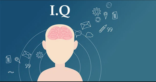 Nghiên cứu Harvard: Trẻ sinh vào 2 tháng này có chỉ số IQ cao, lớn lên có nhiều cơ hội thành công! - Ảnh 2. Nghiên cứu Harvard: Trẻ sinh vào 2 tháng này có chỉ số IQ cao, lớn lên có nhiều cơ hội thành công! - Ảnh 2.