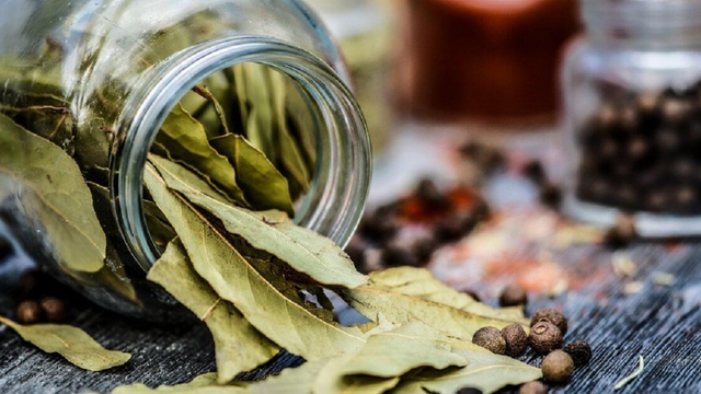 Loại lá chuyên dùng làm gia vị, bán rẻ đầy chợ Việt nhưng có giá 2 triệu đồng/kg tại Mỹ: Mỗi ngày chỉ cần dùng 5g giúp lọc sạch phổi, đánh bay tiểu đường - Ảnh 1. Loại lá chuyên dùng làm gia vị, bán rẻ đầy chợ Việt nhưng có giá 2 triệu đồng/kg tại Mỹ: Mỗi ngày chỉ cần dùng 5g giúp lọc sạch phổi, đánh bay tiểu đường - Ảnh 1.