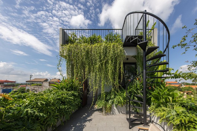 Có gì trong ngôi nhà ống "phủ rèm cây xanh" của gia đình 3 thế hệ xuất hiện trên tạp chí kiến trúc nổi tiếng của Mỹ? - Ảnh 11. Có gì trong ngôi nhà ống "phủ rèm cây xanh" của gia đình 3 thế hệ xuất hiện trên tạp chí kiến trúc nổi tiếng của Mỹ? - Ảnh 11.