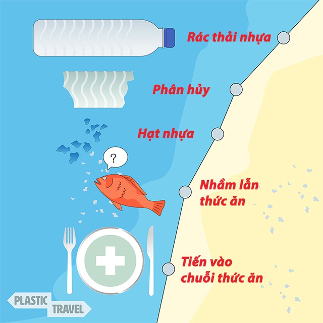 Con người uống trọn vẹn 11,6 tỷ hạt vi nhựa khi ngâm túi lọc trà trong nước nóng 95 độ C - Ảnh 2. Con người uống trọn vẹn 11,6 tỷ hạt vi nhựa khi ngâm túi lọc trà trong nước nóng 95 độ C - Ảnh 2.