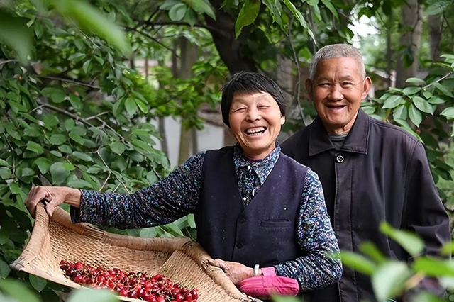 Tôi 61 tuổi, điều khôn ngoan nhất trong đời là đóng bảo hiểm cho bố mẹ: Những người trước đây nói tôi ngu ngốc đều phải ghen tỵ! - Ảnh 1.