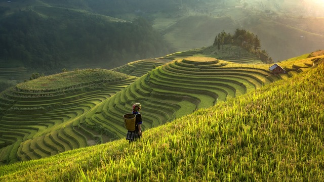 ‘Thiên đường’ mới ở xứ non cao Tây Bắc: Thiết kế bằng tre kết hợp hoạ tiết đồng bào dân tộc Mông, vừa mơ màng vừa tráng lệ! - Ảnh 1.