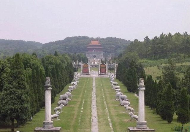 Giới khảo cổ tiết lộ, chỉ cần nhìn thấy loài cây này trước mộ, những kẻ trộm sẽ lập tức bỏ đi, không bao giờ bén mảng tới nữa - Ảnh 1. Giới khảo cổ tiết lộ, chỉ cần nhìn thấy loài cây này trước mộ, những kẻ trộm sẽ lập tức bỏ đi, không bao giờ bén mảng tới nữa - Ảnh 1.