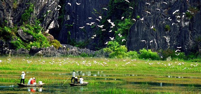 Điểm đến 'chữa lành' cách Hà Nội hơn 80km: Được mệnh danh là 'vịnh không sóng', chốn 'bồng lai tiên cảnh' hữu tình - Ảnh 3. Điểm đến 'chữa lành' cách Hà Nội hơn 80km: Được mệnh danh là 'vịnh không sóng', chốn 'bồng lai tiên cảnh' hữu tình - Ảnh 3.