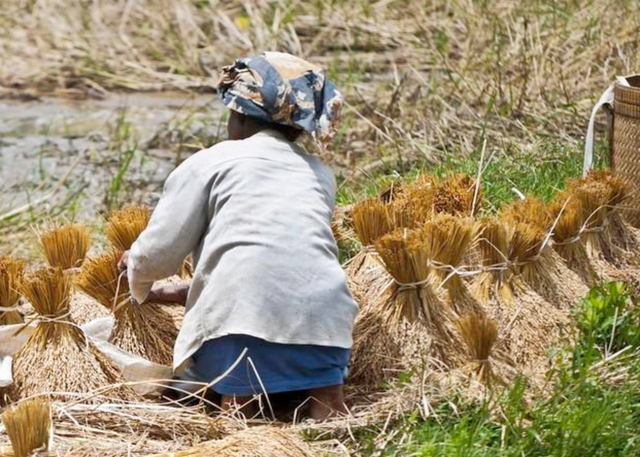 Tôi 62 tuổi, giờ hối hận: Lấy chồng như đánh canh bạc, sống khổ đến gần hết đời, giờ chỉ biết dựa vào con- Ảnh 2. Tôi 62 tuổi, giờ hối hận: Lấy chồng như đánh canh bạc, sống khổ đến gần hết đời, giờ chỉ biết dựa vào con- Ảnh 2.