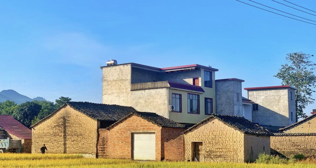 Tôi 62 tuổi, giờ hối hận: Lấy chồng như đánh canh bạc, sống khổ đến gần hết đời, giờ chỉ biết dựa vào con- Ảnh 1. Tôi 62 tuổi, giờ hối hận: Lấy chồng như đánh canh bạc, sống khổ đến gần hết đời, giờ chỉ biết dựa vào con- Ảnh 1.