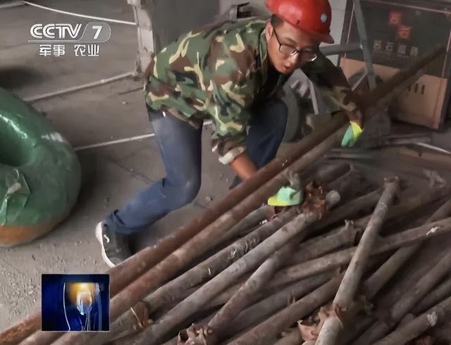 Nam sinh oằn lưng bê gạch bỗng nhận giấy trúng tuyển Đại học top đầu châu Á – 8 năm sau làm nên chuyện lớn, ai cũng phải khâm phục!
- Ảnh 2. Nam sinh oằn lưng bê gạch bỗng nhận giấy trúng tuyển Đại học top đầu châu Á – 8 năm sau làm nên chuyện lớn, ai cũng phải khâm phục!
- Ảnh 2.
