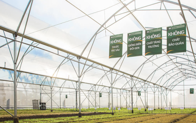 Trước khi giải thể Trần Anh, Thế Giới Di Động vẫn miệt mài "tập gym" cho hệ thống, "khai tử" loạt mô hình rau sạch, logistic, điện thoại giá rẻ... - Ảnh 2. Trước khi giải thể Trần Anh, Thế Giới Di Động vẫn miệt mài "tập gym" cho hệ thống, "khai tử" loạt mô hình rau sạch, logistic, điện thoại giá rẻ... - Ảnh 2.