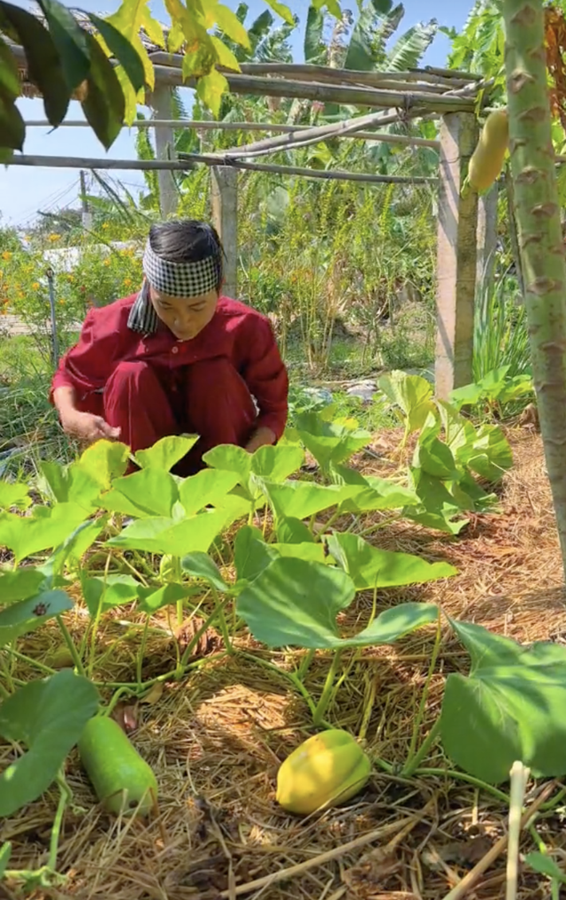 Ở thành phố thèm cơm nhà mẹ nấu, các thanh niên dọn về quê: Sáng làm vườn, chiều vào bếp “nổi lửa”- Ảnh 7. Ở thành phố thèm cơm nhà mẹ nấu, các thanh niên dọn về quê: Sáng làm vườn, chiều vào bếp “nổi lửa”- Ảnh 7.