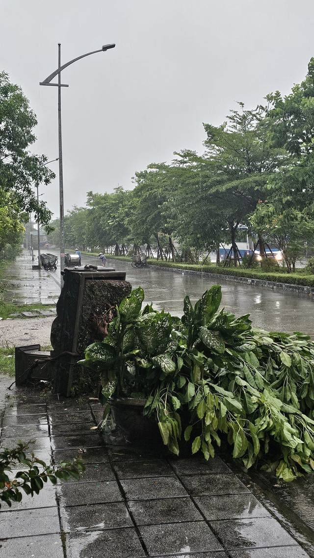 Những thiệt hại ban đầu khi bão số 2 đổ bộ Quảng Ninh- Ảnh 15. Những thiệt hại ban đầu khi bão số 2 đổ bộ Quảng Ninh- Ảnh 15.