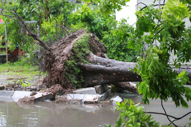 Những thiệt hại ban đầu khi bão số 2 đổ bộ Quảng Ninh- Ảnh 1.
