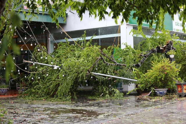 Những thiệt hại ban đầu khi bão số 2 đổ bộ Quảng Ninh- Ảnh 8. Những thiệt hại ban đầu khi bão số 2 đổ bộ Quảng Ninh- Ảnh 8.