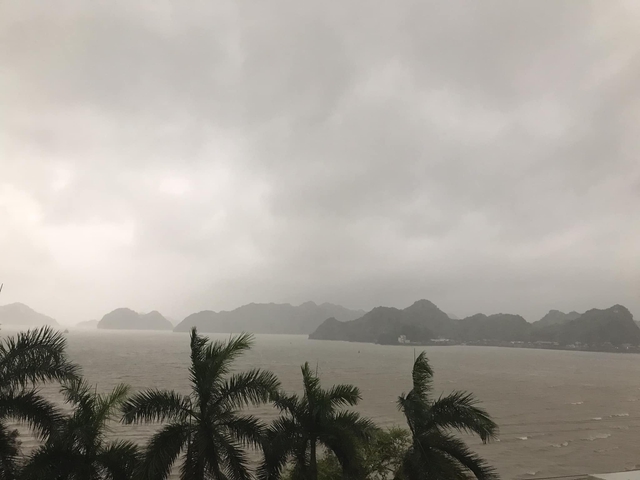 Những thiệt hại ban đầu khi bão số 2 đổ bộ Quảng Ninh- Ảnh 12. Những thiệt hại ban đầu khi bão số 2 đổ bộ Quảng Ninh- Ảnh 12.