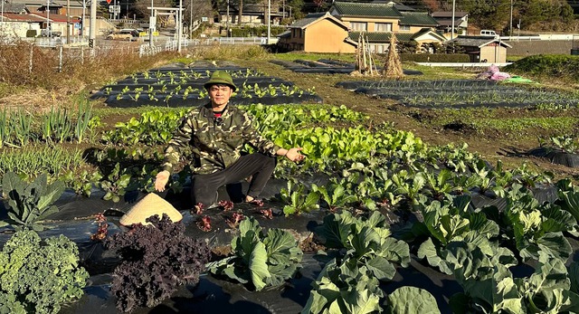 Chuyển khu vườn đủ loại hoa quả miền Tây sang Nhật, 2 thanh niên Việt nhận phản ứng lạ từ hàng xóm- Ảnh 9. Chuyển khu vườn đủ loại hoa quả miền Tây sang Nhật, 2 thanh niên Việt nhận phản ứng lạ từ hàng xóm- Ảnh 9.
