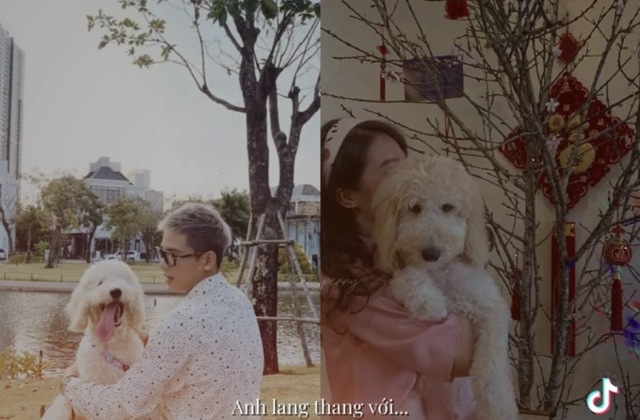 Quân A.P có bạn gái?- Ảnh 5. Quân A.P có bạn gái?- Ảnh 5.