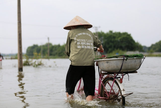 Hà Nội: Ngôi làng bị nước bủa vây như "ốc đảo", người dân đổ xô đến tập bơi- Ảnh 11. Hà Nội: Ngôi làng bị nước bủa vây như "ốc đảo", người dân đổ xô đến tập bơi- Ảnh 11.