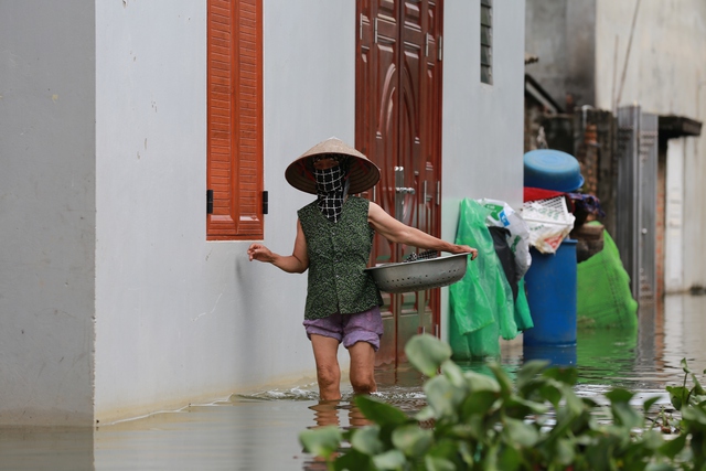 Hà Nội: Ngôi làng bị nước bủa vây như "ốc đảo", người dân đổ xô đến tập bơi- Ảnh 10. Hà Nội: Ngôi làng bị nước bủa vây như "ốc đảo", người dân đổ xô đến tập bơi- Ảnh 10.