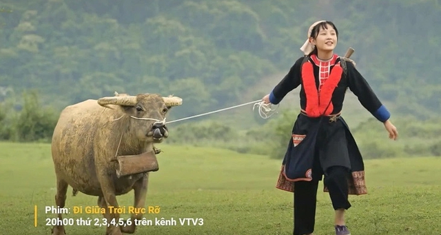 Phim Việt giờ vàng bị tố làm sai lệch văn hoá, phản ứng của khán giả mới là điều bất ngờ- Ảnh 3. Phim Việt giờ vàng bị tố làm sai lệch văn hoá, phản ứng của khán giả mới là điều bất ngờ- Ảnh 3.