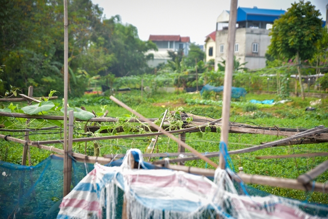 Khu đô thị xây 20 năm chưa xong, giá đất vẫn cao ngất ngưởng - Ảnh 8. Khu đô thị xây 20 năm chưa xong, giá đất vẫn cao ngất ngưởng - Ảnh 8.