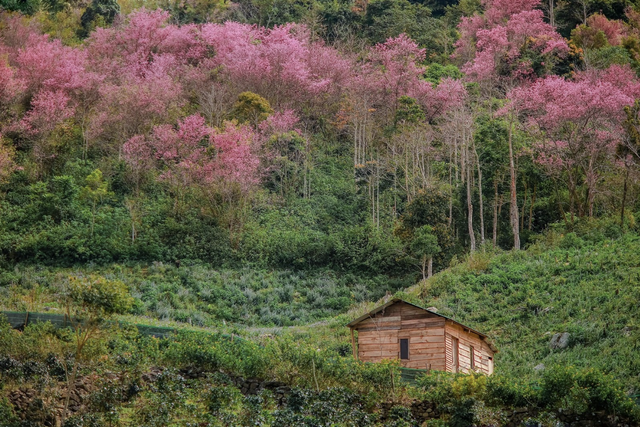 Diện mạo khu vực sắp trở thành thành phố lớn thứ 3 Việt Nam - Ảnh 7. Diện mạo khu vực sắp trở thành thành phố lớn thứ 3 Việt Nam - Ảnh 7.