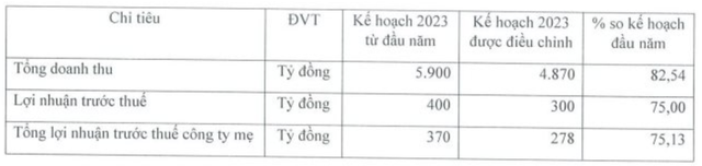 Doanh nghiệp tôm quy mô nghìn tỷ trên sàn chứng khoán sụt giảm 11% doanh số năm 2023 - Ảnh 1.