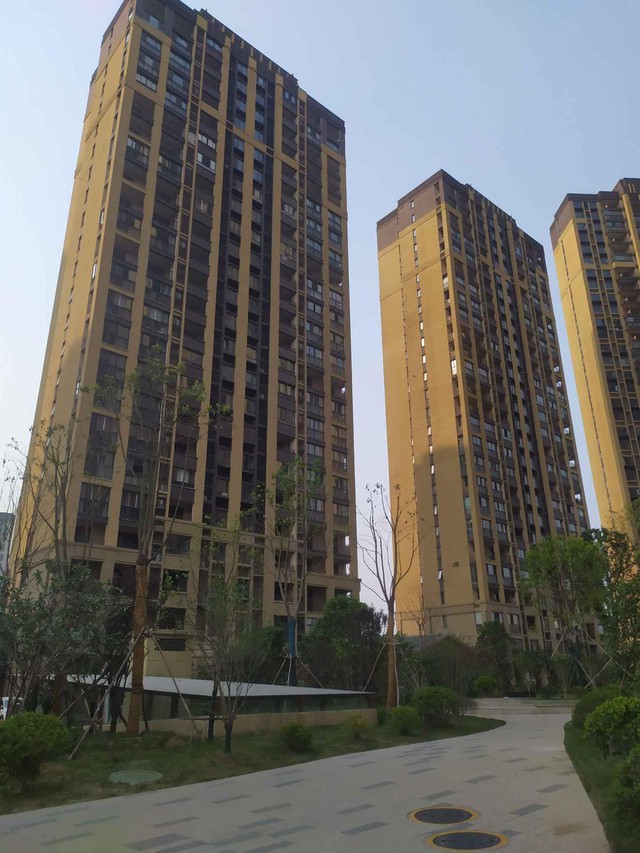 Sống ở tầng 20 của chung cư suốt 5 năm, tôi quyết định chuyển hẳn xuống tầng 2, cả nhà cật lực phản đối: Ai ngờ lại là nước đi đúng đắn!- Ảnh 2. Sống ở tầng 20 của chung cư suốt 5 năm, tôi quyết định chuyển hẳn xuống tầng 2, cả nhà cật lực phản đối: Ai ngờ lại là nước đi đúng đắn!- Ảnh 2.