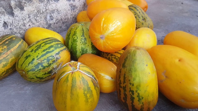 1 loại quả thanh mát bán rẻ ở chợ Việt nhưng tốt ngang nhân sâm, tổ yến: Vừa hạ đường huyết, vừa tốt cho tim mạch- Ảnh 1. 1 loại quả thanh mát bán rẻ ở chợ Việt nhưng tốt ngang nhân sâm, tổ yến: Vừa hạ đường huyết, vừa tốt cho tim mạch- Ảnh 1.