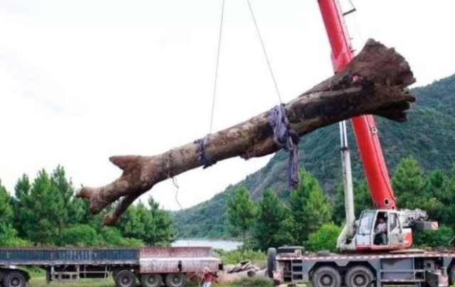 Đội công nhân Đội công nhân