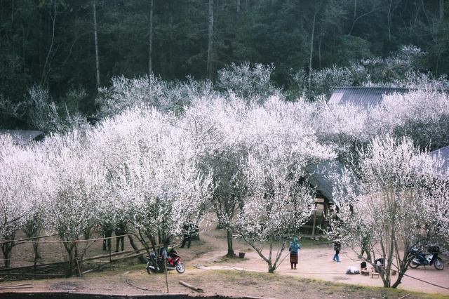 Việt Nam có 1 tỉnh được New York Times xếp vào top điểm đến hấp dẫn nhất thế giới: Sở hữu một trong “tứ đại đỉnh đèo”, mùa nào cũng đẹp nức lòng- Ảnh 3. Việt Nam có 1 tỉnh được New York Times xếp vào top điểm đến hấp dẫn nhất thế giới: Sở hữu một trong “tứ đại đỉnh đèo”, mùa nào cũng đẹp nức lòng- Ảnh 3.