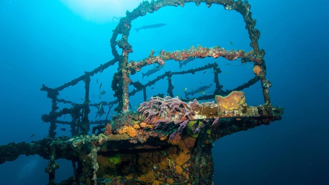 Dành 25 năm tìm kiếm xác tàu chìm, người thợ lặn đổi đời khi phát hiện ''kho báu 500 triệu USD dưới nước'' - Ảnh 2. Dành 25 năm tìm kiếm xác tàu chìm, người thợ lặn đổi đời khi phát hiện ''kho báu 500 triệu USD dưới nước'' - Ảnh 2.