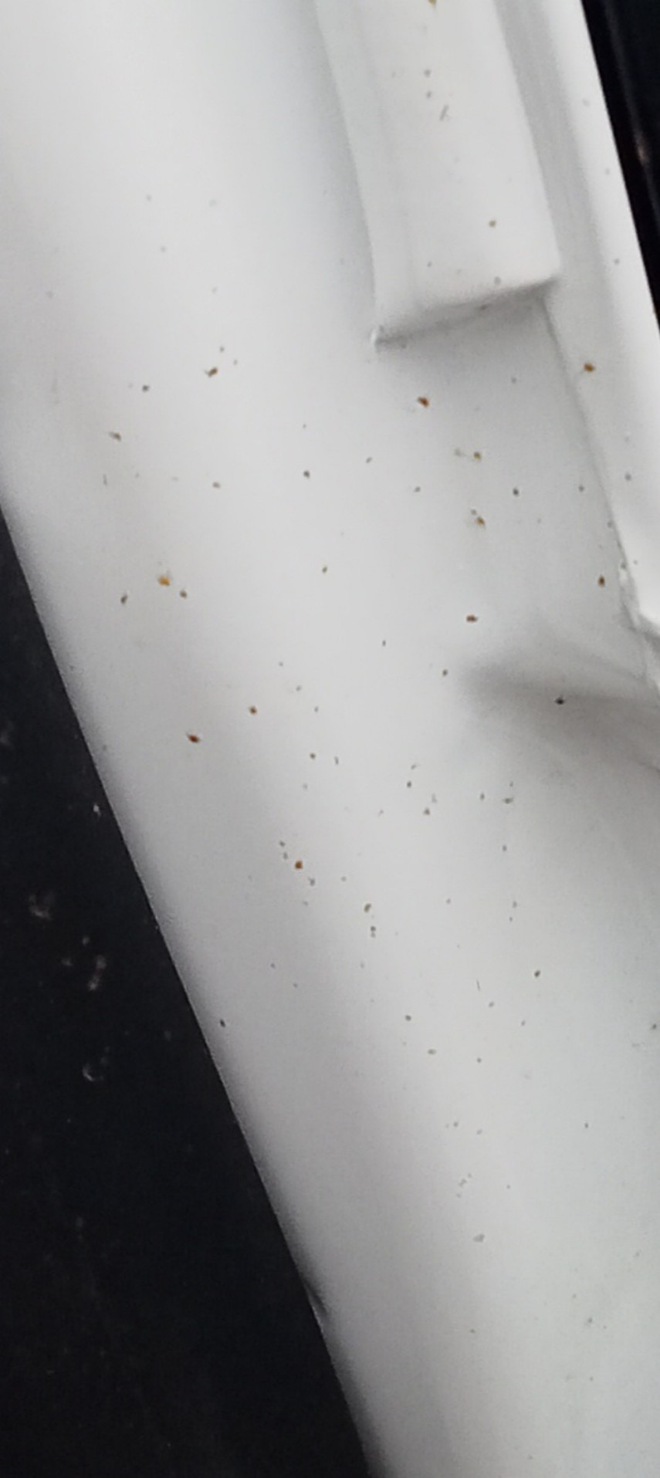 Vừa nhận Honda BR-V đã phát hiện hoen rỉ, chủ xe tại Vĩnh Phúc muốn đổi xe mới, hãng chỉ đồng ý thay phụ tùng và sơn lại- Ảnh 4. Vừa nhận Honda BR-V đã phát hiện hoen rỉ, chủ xe tại Vĩnh Phúc muốn đổi xe mới, hãng chỉ đồng ý thay phụ tùng và sơn lại- Ảnh 4.