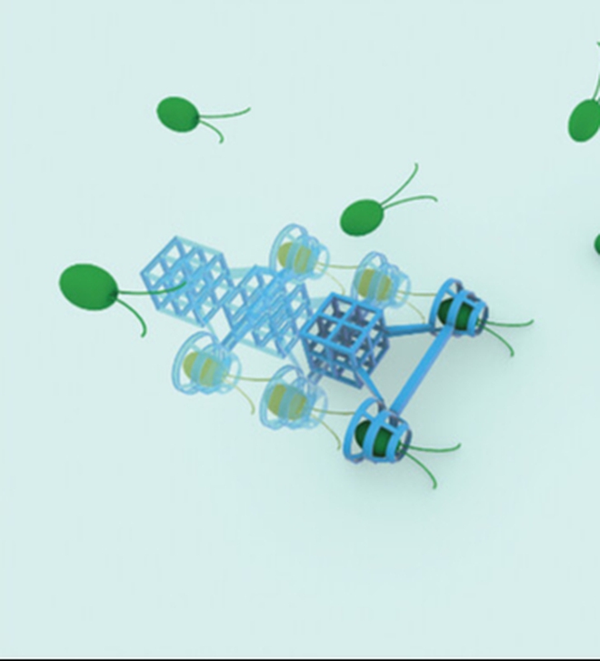 Các kỹ sư Nhật Bản vừa tạo ra Các kỹ sư Nhật Bản vừa tạo ra