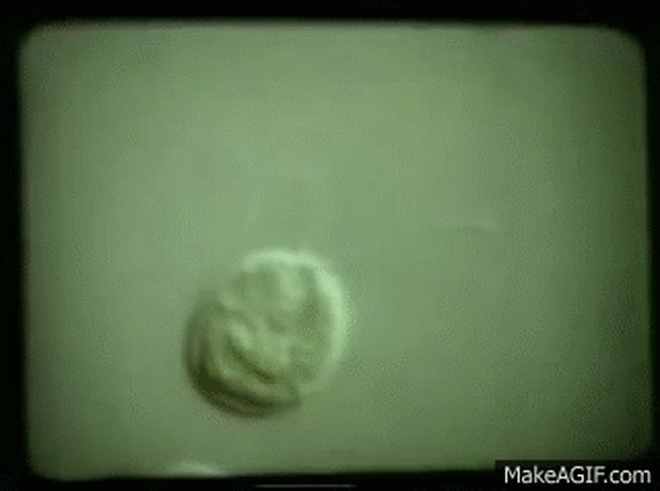 Các kỹ sư Nhật Bản vừa tạo ra Các kỹ sư Nhật Bản vừa tạo ra