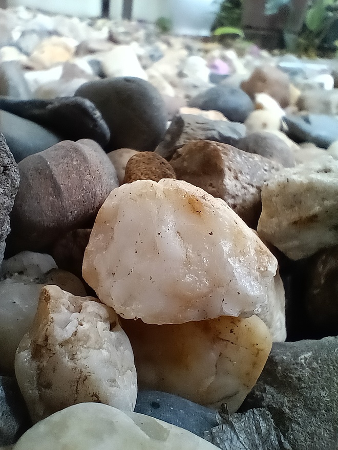 Đánh giá Reno 12 F 5G: AI nhiếp ảnh từ OPPO, nhưng giá rẻ hơn- Ảnh 11. Đánh giá Reno 12 F 5G: AI nhiếp ảnh từ OPPO, nhưng giá rẻ hơn- Ảnh 11.