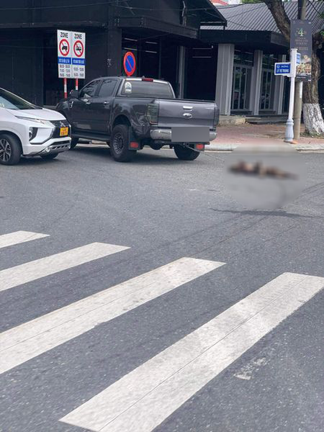 2 chú chó bị xe bán tải kéo lê thảm thương trên phố Đà Nẵng: Người nhà hé lộ sự tình- Ảnh 1. 2 chú chó bị xe bán tải kéo lê thảm thương trên phố Đà Nẵng: Người nhà hé lộ sự tình- Ảnh 1.