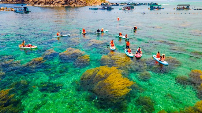 Có một hòn đảo hoang sơ cách thành phố chưa tới 20km, du khách nhận xét: "Nước trong nhìn thấy tận đáy"- Ảnh 14. Có một hòn đảo hoang sơ cách thành phố chưa tới 20km, du khách nhận xét: "Nước trong nhìn thấy tận đáy"- Ảnh 14.