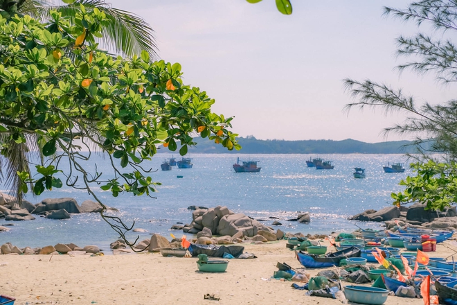 Phát hiện hòn đảo hoang sơ giữa biển Phú Yên mang cái tên lạ mà quen, được ví như "đảo hoang Robinson"- Ảnh 9.