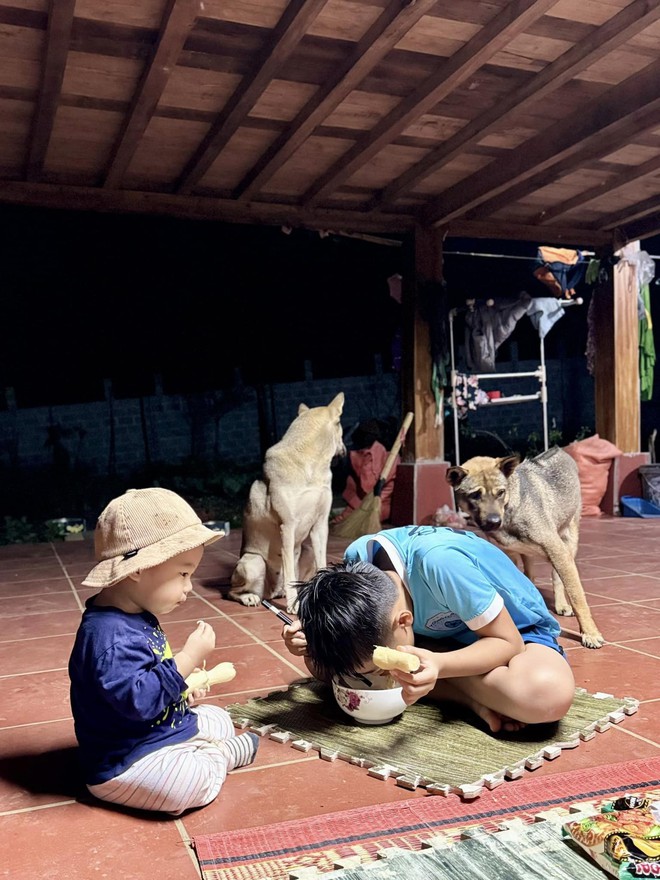 Vợ chồng "chốt" mua 1500m2 đất rừng qua ảnh vệ tinh, thành quả hiện tại khiến bao người ngưỡng mộ- Ảnh 14. Vợ chồng "chốt" mua 1500m2 đất rừng qua ảnh vệ tinh, thành quả hiện tại khiến bao người ngưỡng mộ- Ảnh 14.