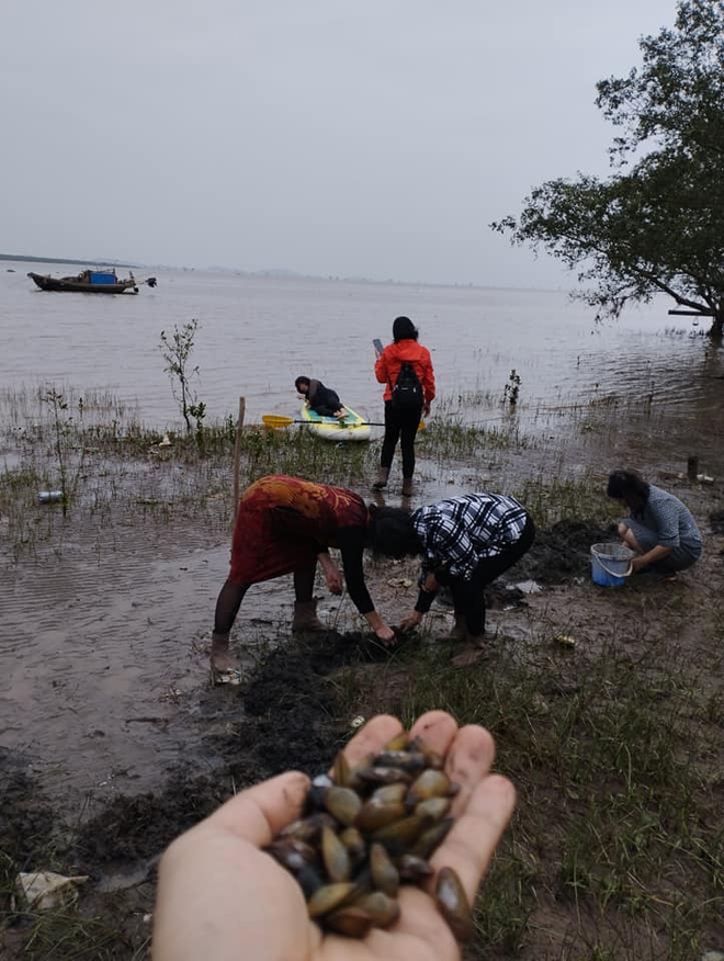 Phát hiện "bãi biển vô cực" cách Hà Nội hơn 100km: Du khách không tắm biển mà có hoạt động hoàn toàn khác- Ảnh 4. Phát hiện "bãi biển vô cực" cách Hà Nội hơn 100km: Du khách không tắm biển mà có hoạt động hoàn toàn khác- Ảnh 4.