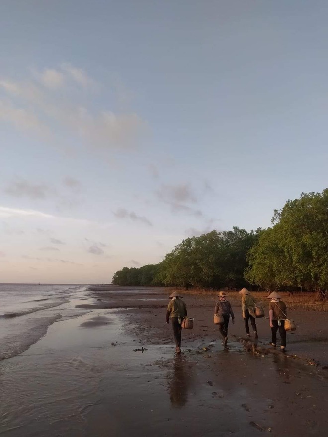 Phát hiện "bãi biển vô cực" cách Hà Nội hơn 100km: Du khách không tắm biển mà có hoạt động hoàn toàn khác- Ảnh 3. Phát hiện "bãi biển vô cực" cách Hà Nội hơn 100km: Du khách không tắm biển mà có hoạt động hoàn toàn khác- Ảnh 3.
