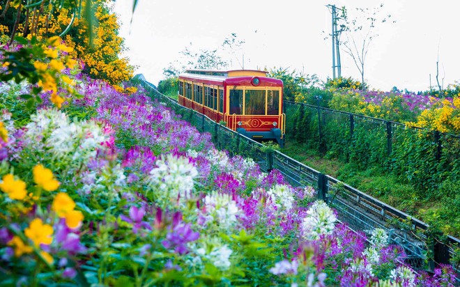 Chuyến tàu leo núi duy nhất ở miền Bắc: Từng đạt kỷ lục Việt Nam, du khách nhận xét như Thụy Sĩ thu nhỏ- Ảnh 12. Chuyến tàu leo núi duy nhất ở miền Bắc: Từng đạt kỷ lục Việt Nam, du khách nhận xét như Thụy Sĩ thu nhỏ- Ảnh 12.