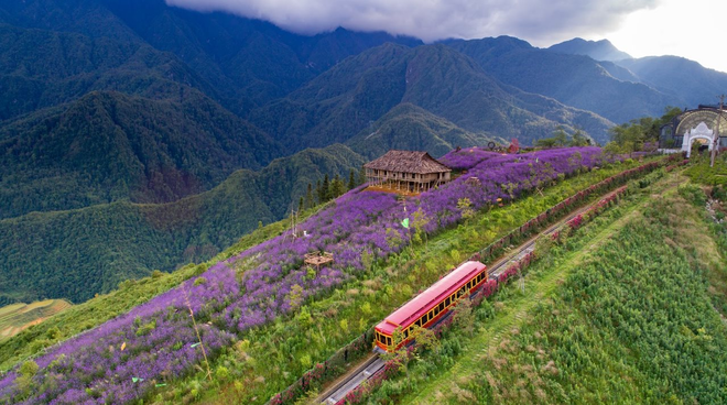 Chuyến tàu leo núi duy nhất ở miền Bắc: Từng đạt kỷ lục Việt Nam, du khách nhận xét như Thụy Sĩ thu nhỏ- Ảnh 11. Chuyến tàu leo núi duy nhất ở miền Bắc: Từng đạt kỷ lục Việt Nam, du khách nhận xét như Thụy Sĩ thu nhỏ- Ảnh 11.