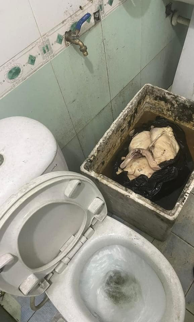 Quán vịt quay siêu bẩn, giòi bò lúc nhúc ở Quảng Ninh bị CA tới kiểm tra trực tiếp: Kết quả ra sao?- Ảnh 4. Quán vịt quay siêu bẩn, giòi bò lúc nhúc ở Quảng Ninh bị CA tới kiểm tra trực tiếp: Kết quả ra sao?- Ảnh 4.