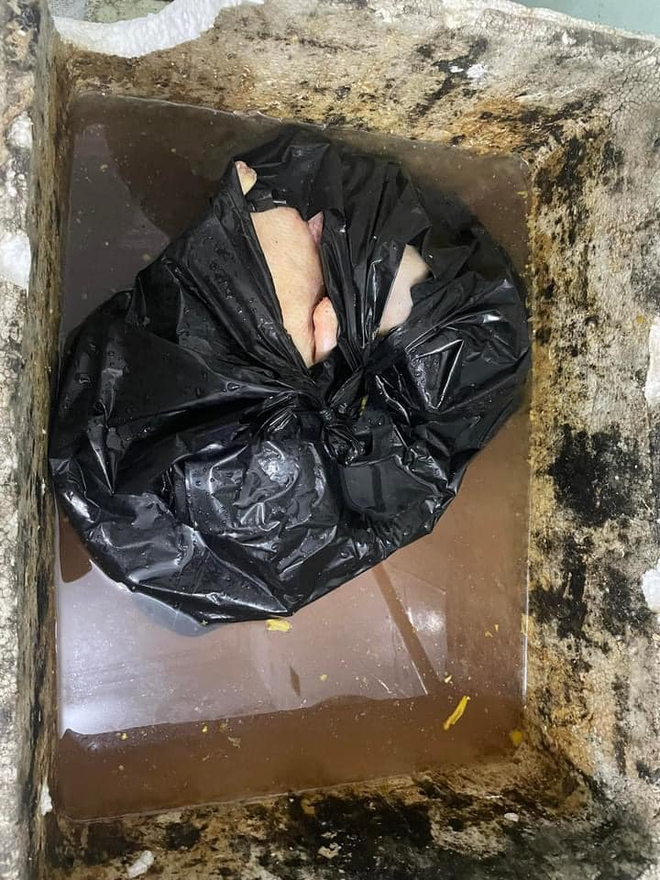 Quán vịt quay siêu bẩn, giòi bò lúc nhúc ở Quảng Ninh bị CA tới kiểm tra trực tiếp: Kết quả ra sao?- Ảnh 2. Quán vịt quay siêu bẩn, giòi bò lúc nhúc ở Quảng Ninh bị CA tới kiểm tra trực tiếp: Kết quả ra sao?- Ảnh 2.