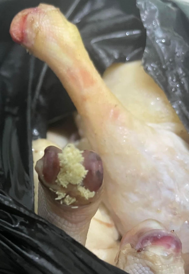 Quán vịt quay siêu bẩn, giòi bò lúc nhúc ở Quảng Ninh bị CA tới kiểm tra trực tiếp: Kết quả ra sao?- Ảnh 3. Quán vịt quay siêu bẩn, giòi bò lúc nhúc ở Quảng Ninh bị CA tới kiểm tra trực tiếp: Kết quả ra sao?- Ảnh 3.