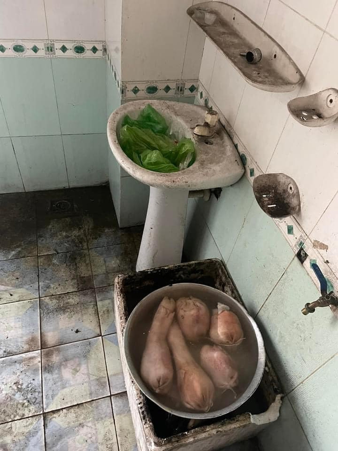 Quán vịt quay siêu bẩn, giòi bò lúc nhúc ở Quảng Ninh bị CA tới kiểm tra trực tiếp: Kết quả ra sao?- Ảnh 1. Quán vịt quay siêu bẩn, giòi bò lúc nhúc ở Quảng Ninh bị CA tới kiểm tra trực tiếp: Kết quả ra sao?- Ảnh 1.