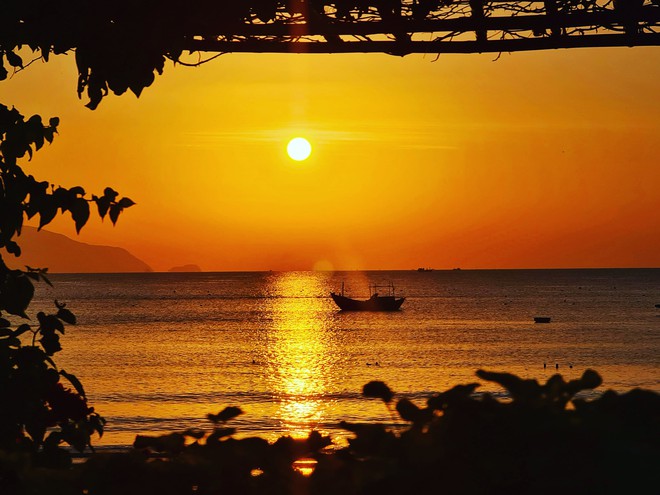 Phát hiện bãi biển được ví như "Hawaii ở Việt Nam", cách thành phố 50km, ra xa bờ 100m nước chỉ tới ngực- Ảnh 12. Phát hiện bãi biển được ví như "Hawaii ở Việt Nam", cách thành phố 50km, ra xa bờ 100m nước chỉ tới ngực- Ảnh 12.